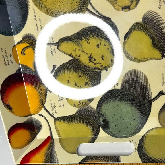 John Derian Target Pear Melamine Large Rectangular Serving Tray Fall Fruit - Picture 3 of 11